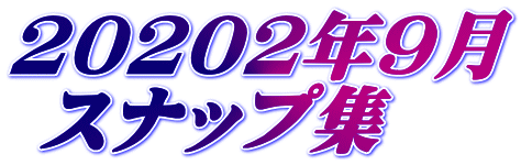 20202年9月  スナップ集